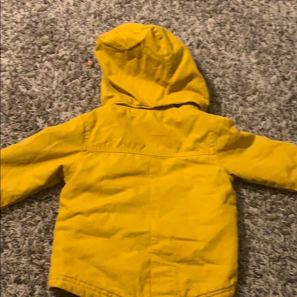 Jacket - Picture 4 of 5